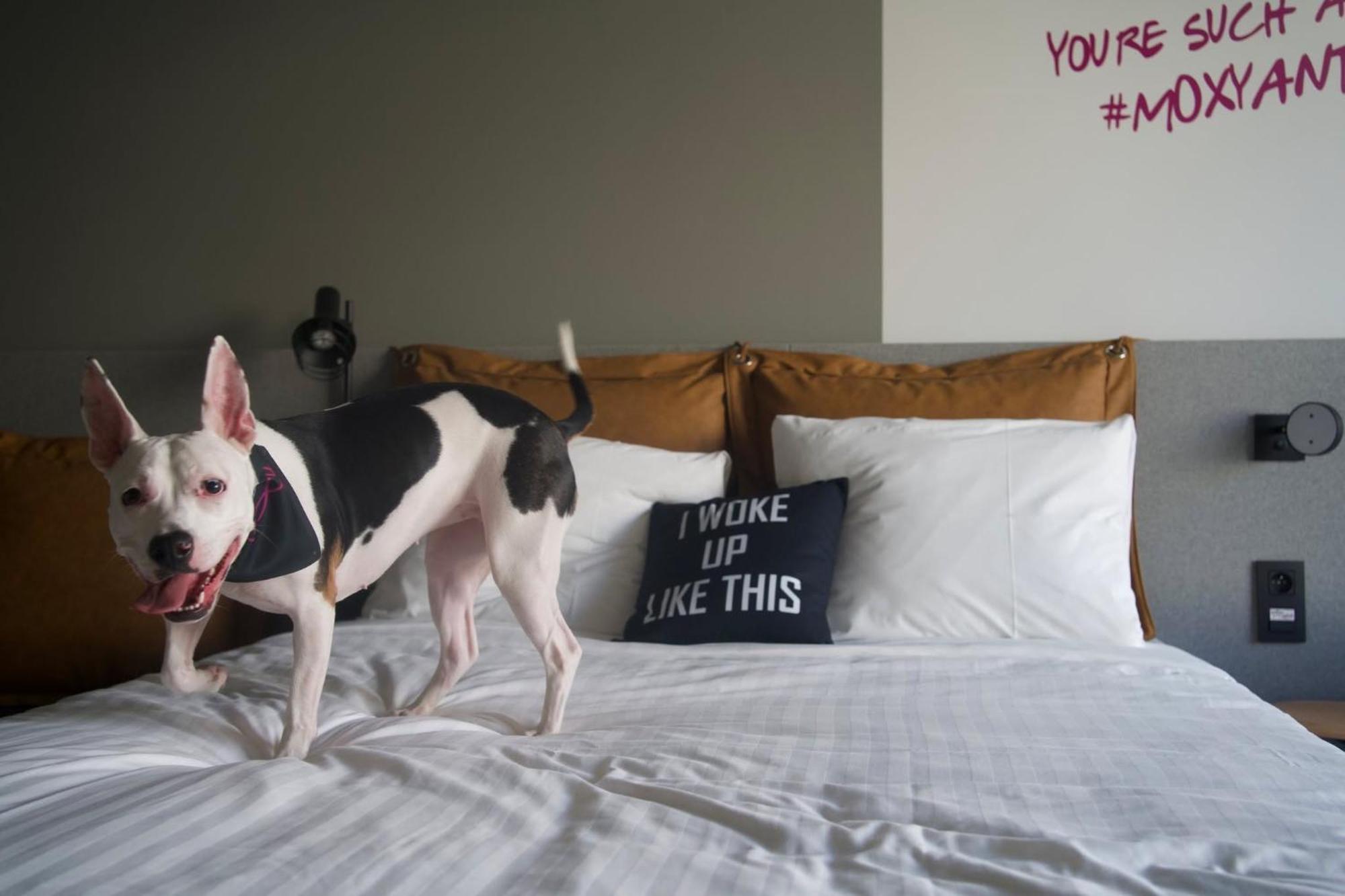 Hotel Moxy Antwerpen